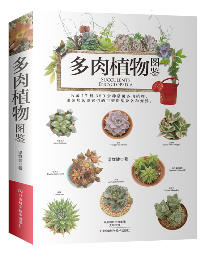 多肉植物图鉴