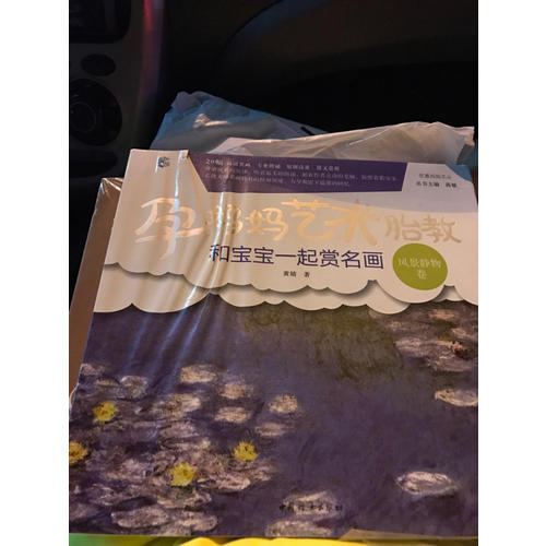 孕妈妈艺术胎教 和宝宝一起赏名画·风景静物卷