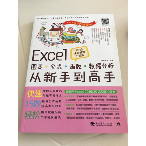 Excel图表/公式/函数/数据分析从新手到高手