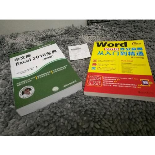 中文版Excel 2016宝典(第9版)