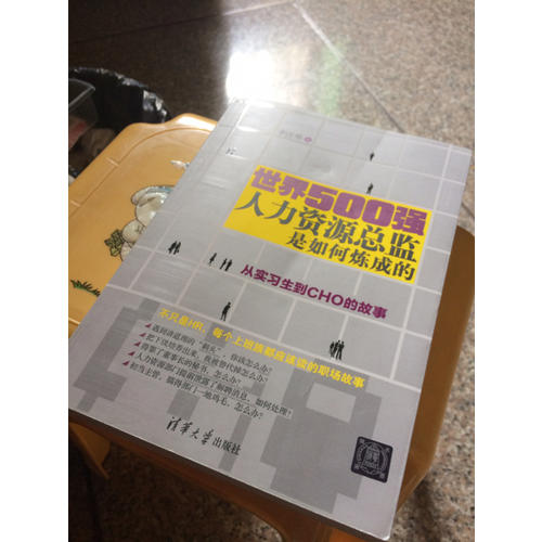 世界500强人力资源总监是如何炼成的：从实习生到CHO的故事