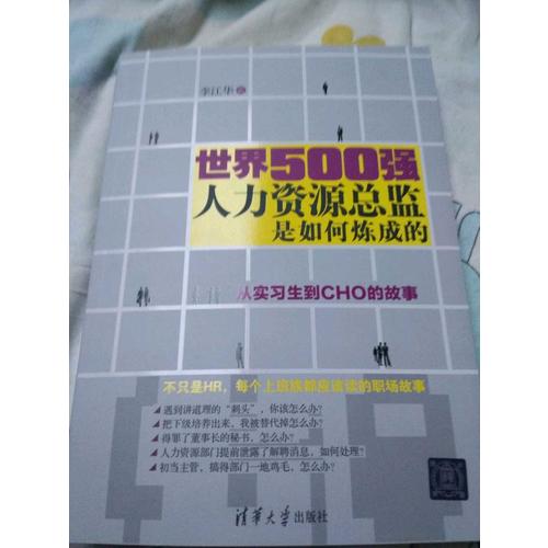 世界500强人力资源总监是如何炼成的：从实习生到CHO的故事