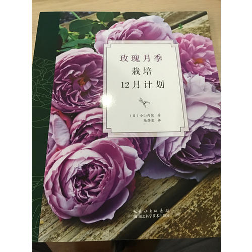 玫瑰月季栽培12月计划