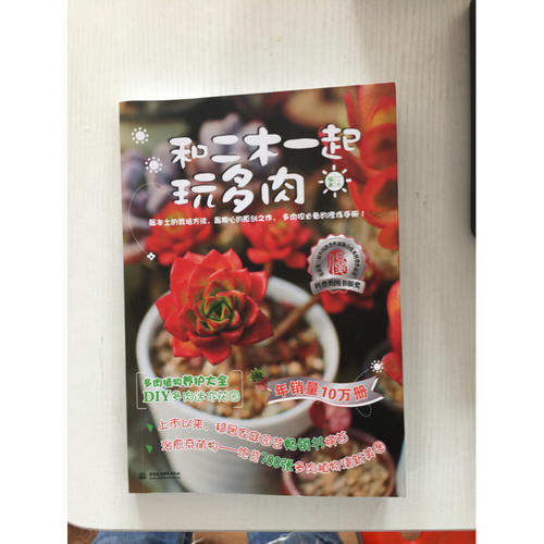 和二木一起玩多肉