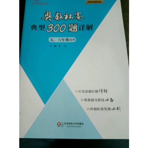 奥数杯赛典型300题详解·五、六年级（2016）