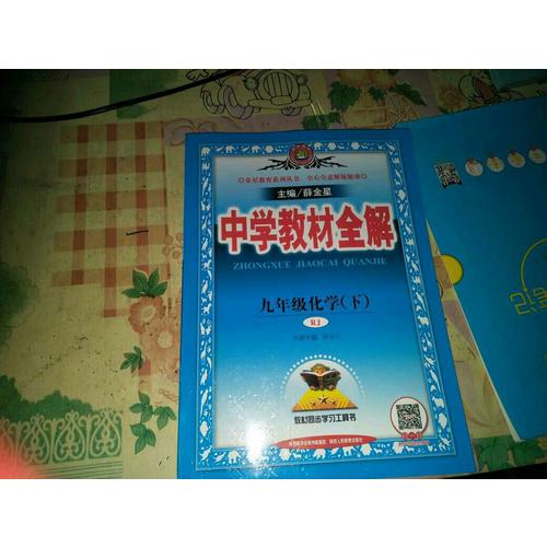 2018春 中学教材全解 九年级化学下 人教版