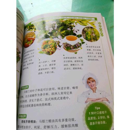 大自然博物馆·百科珍藏图鉴系列：香草与香料