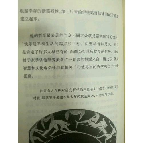 哲学的慰藉(译文经典.精)