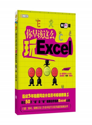 你早该这么玩Excel（Wi-Fi版）