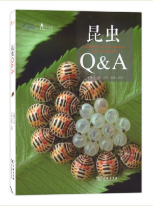 昆虫Q&A