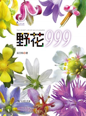 野花999