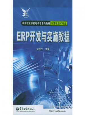 ERP开发与实施教程