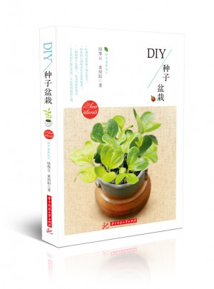 DIY种子盆栽