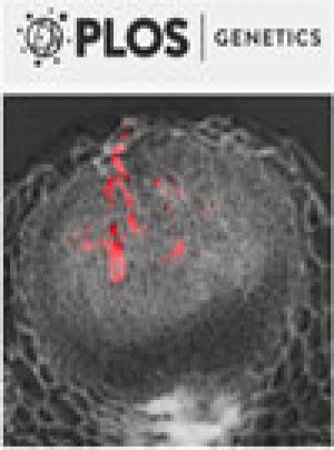 Plos Genetics