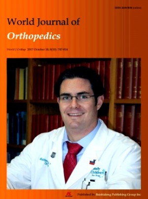 World Journal Of Orthopedics