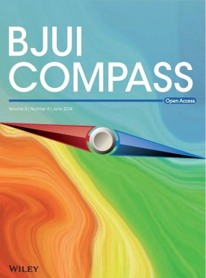 Bjui Compass